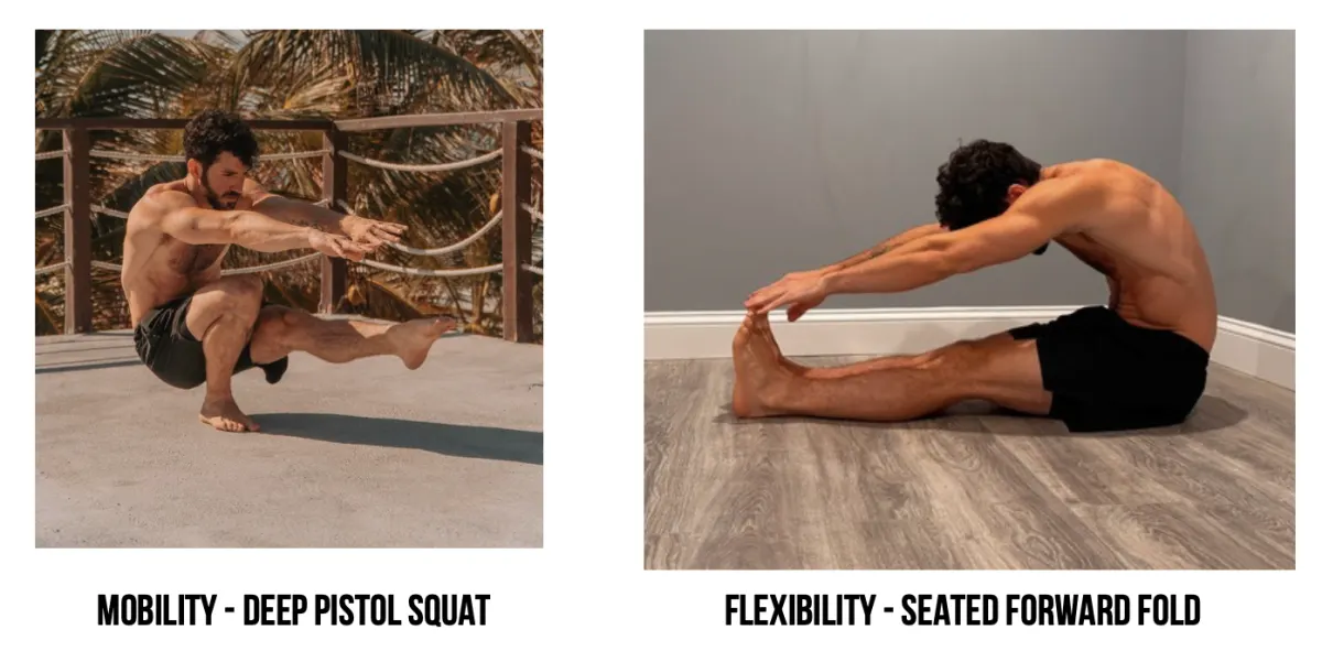 Mobility: a deep pistol squat. Flexibility: a seated forward fold