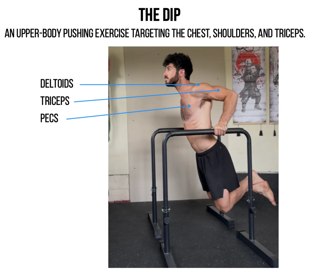 The dip: an upper-body pushing exercise targeting the chest, shoulders, and triceps