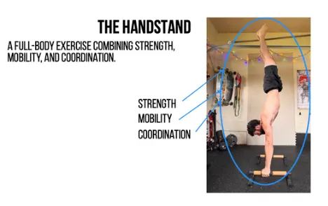 The handstand: a full-body exercise combining strength, mobility, and coordination