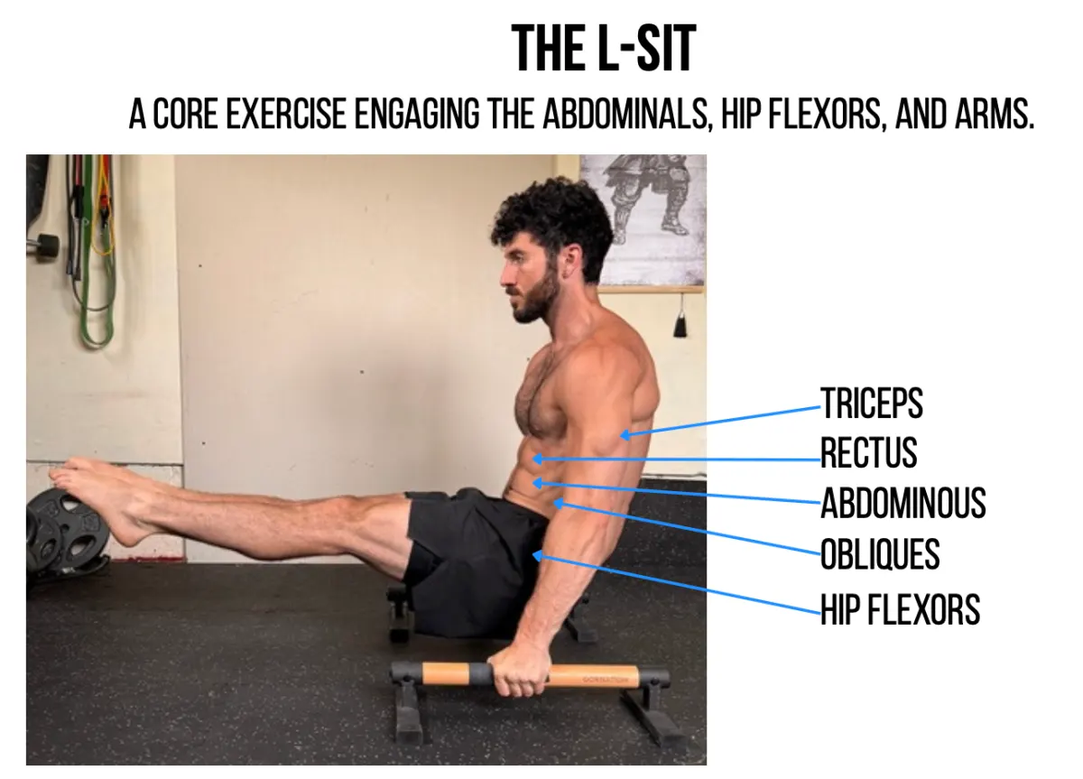The L-sit: a core exercise engaging the abdominals, hip flexors, and arms