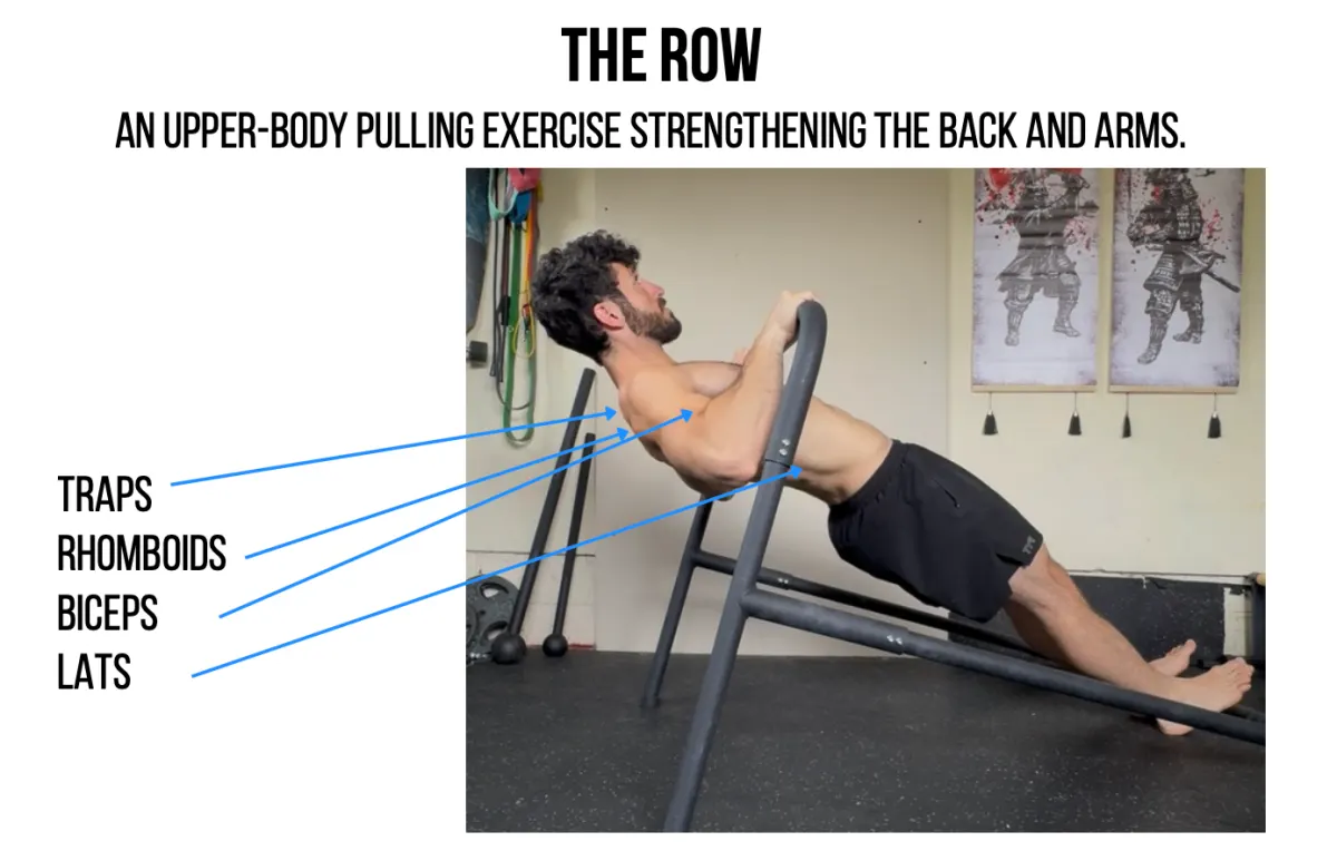 The row: an upper-body pulling exercise strengthening the back and arms